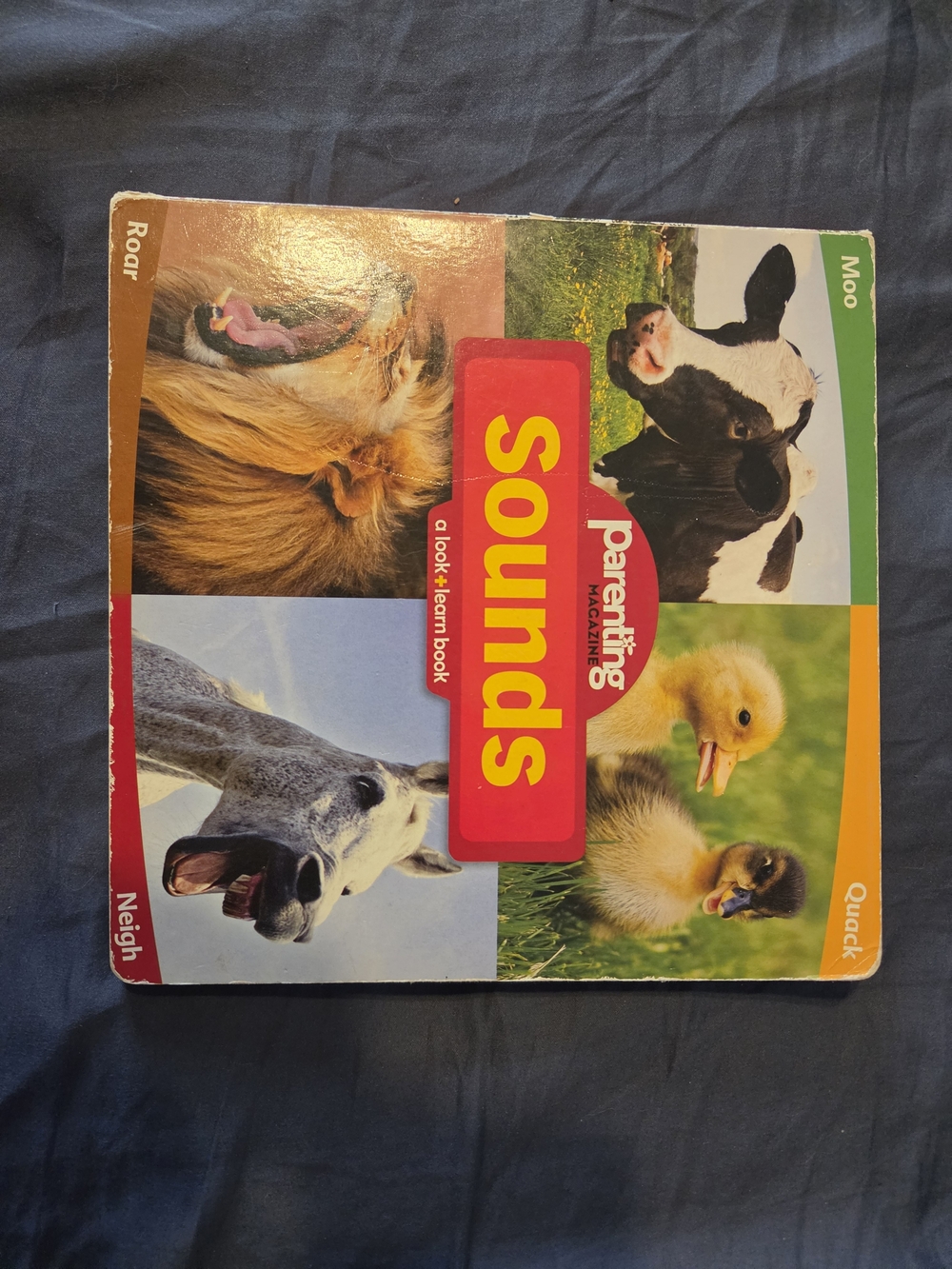 Sounds Board Book - Multicolor